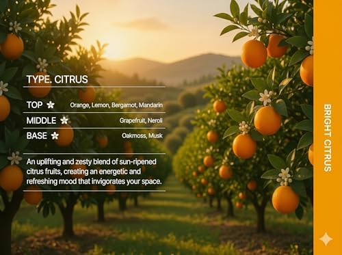 Bright Citrus Reed Diffuser Set 8.5oz / 250ml