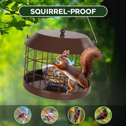 Gbekery Bluebird Feeder for Mealworms with Glass Bowl for Outdoors, Brown