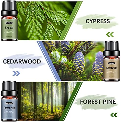 Woody Essential Oils Set, Woody Scents Fragrance Oil Aromatherapy Essential Oils Kit for Diffuser (6x10ML) - Sandalwood, Cedarwood, Teakwood, Agarwood, Cypress, Forest Pine Aromatherapy Oils