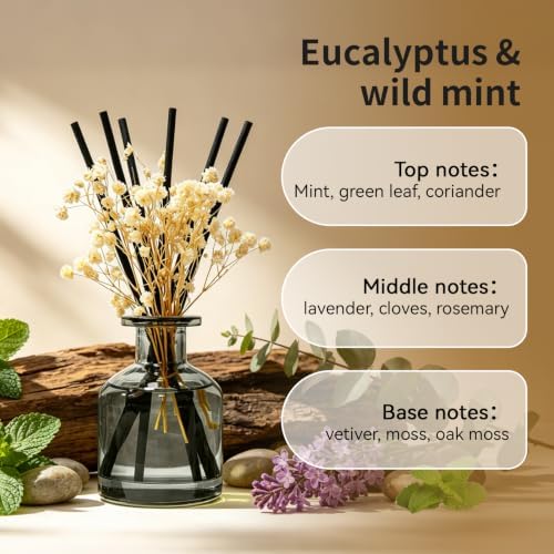 Brakula Reed Diffuser Set, Eucalyptus & Wild Mint Scent, 4.06 fl oz