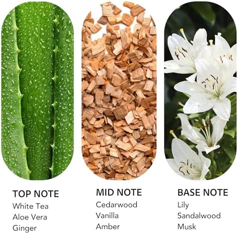 Luxury Hotel Scent Dream On Diffuser Oil 200ml Waterless White Tea Refill