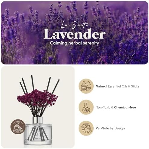 Reed Diffuser Set, Lavender, 6.7fl oz / 200 ml
