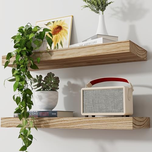 Axeman Floating Shelves, 2 Pack 8 Inch Deep Modern Solid Wood Wall Shelves for Storage, Wall Mounted Display Shelving with Invisible Heavy-Duty Metal Bracket, 24" W x 8" D x 1.6" H, Light Carbonized