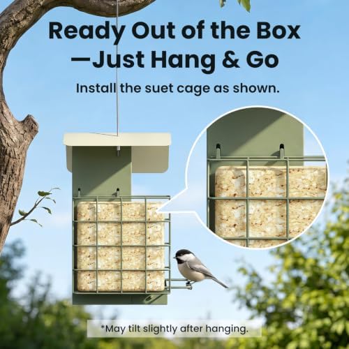 Birdfy Smart Bird Feeder with Camera, Solar Powered Hanging Bird Feeder