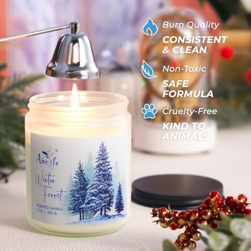 Winter Forest Candle | Pine & Cedarwood Scented Soy Candles - Aromatherapy Candles for Home, Holiday Candle Gift for Women & Men, Winter Christmas Home Décor