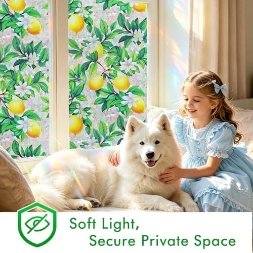 SOMWISE Rainbow Stained Glass Window Privacy Film,Heat Blocking Save Energy