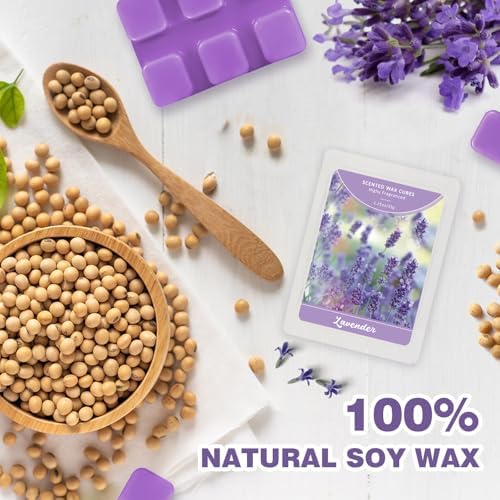 SCENTORINI Wax Melts Wax Cubes, Lavender Wax Melts for Sleep, 4 * 1.25oz