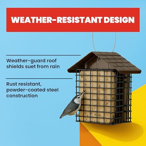 More Birds Double Suet Cake Feeder, Weather Guard, Steel Construction