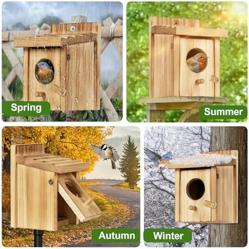 Small Wooden Birdhouse with Front Cleaning Door
