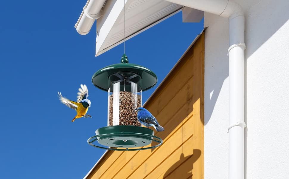 Metal Roof Bird Feeder for Outdoors - 360° Feeding Perch. Green