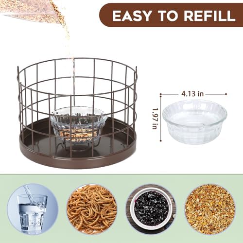 Gbekery Bluebird Feeder for Mealworms with Glass Bowl for Outdoors, Brown