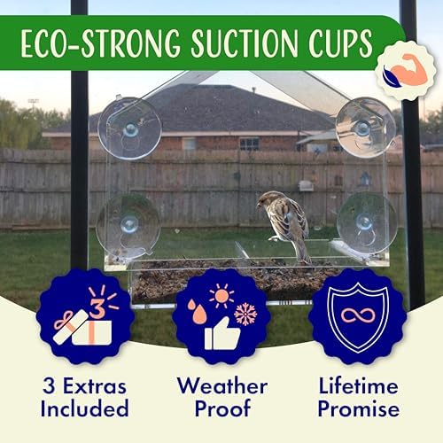 Window Bird Feeder with Strong Suction Cups Clear Transparent Bird House