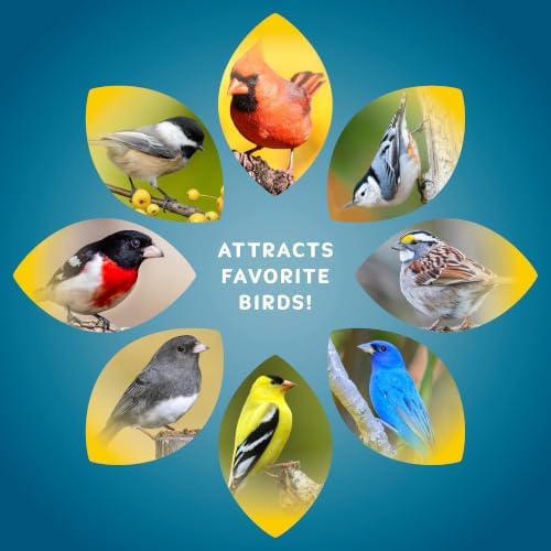 Audubon Park Songbird Wild Bird Seed, 10 lb.