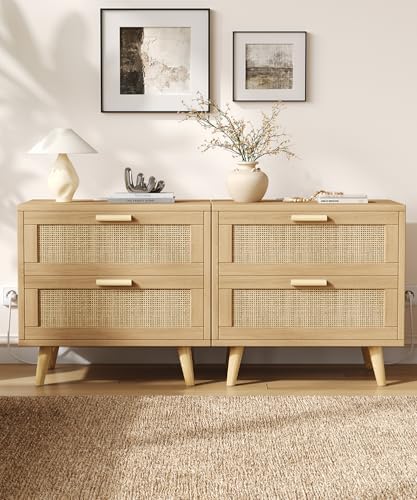 Keehusux 23.6" W Rattan Nightstand with Charging Station and 2 Drawers