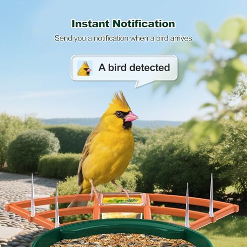 Bird Feeder with Camera,WiFi Smart Bird House with Cam Solar Powered