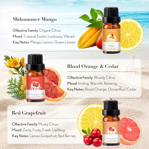JCLOUD Summer Fragrance Oils Set, 6x10mL