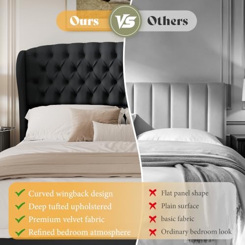AMERLIFE Full/Queen Headboard Only, Velvet Curved Wingback, Black