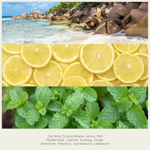 Lopeie Resort Fragrance Oil–Essential Oil for Diffuser, Air Freshener & Room Spray – Long-Lasting with Notes of Lemon,Jasmine，for Ultrasonic & Waterless Diffusers, 8.5 fl.oz