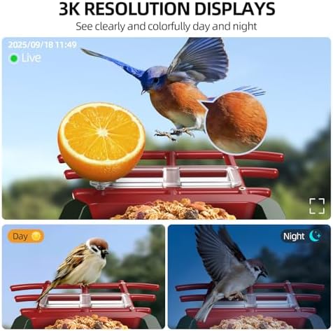 3K Smart Bird Feeder with Camera, 2.4GHz WiFi Solar Camera Feeder, AI Bird Species Identification & Real-Time App Alerts, Chew-Proof & Waterproof for Outdoors