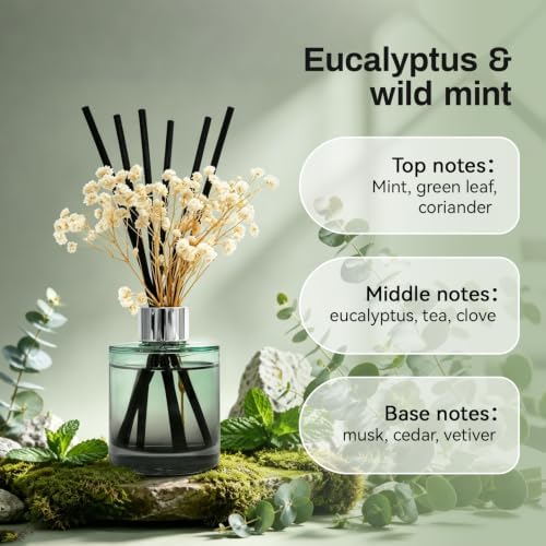 Brakula Reed Diffuser Set, Eucalyptus & Wild Mint Scent, 4.06 fl oz