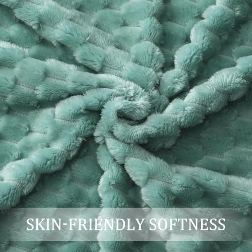 Exclusivo Mezcla Extra Large Soft Fleece Throw Blanket, 50x70 Inches 3D Clouds Stylish Jacquard Throw Blanket for Couch, Cozy Soft Lightweight for All Season, Celadon Blanket