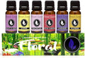 Eternal Essence Oils Floral Set of 6 Premium Fragrance Oils - Lavender, Lilac Lillies, Jasmine, Plumeria, Rose Garden, Magnolia Scented Oil - for Diffusers, Candle & Soap Making, & Aromatherapy