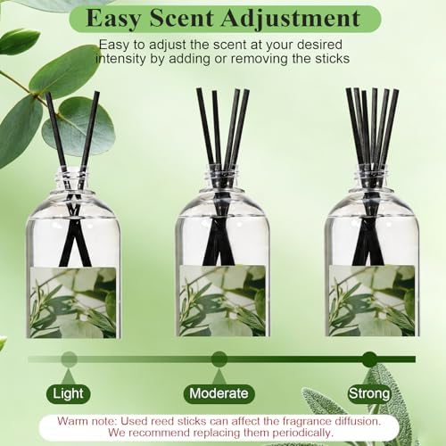 SCENTORINI Eucalyptus Sage Diffuser Reed Diffuser Oil Refill, 16.9 FL OZ