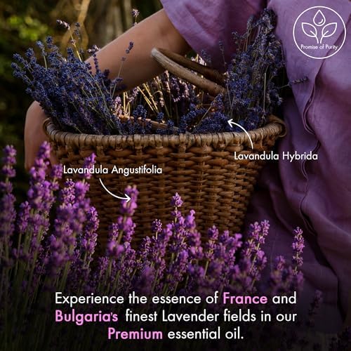 Majestic Pure Lavender Essential Oil for Diffuser - 1 Fl Oz