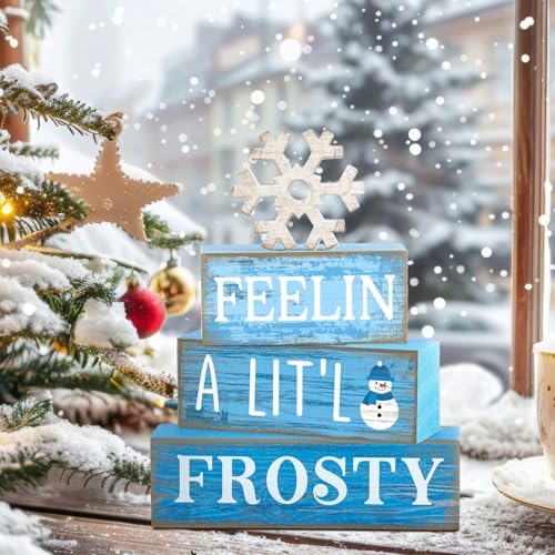 Yuntau 4 Pcs Winter Tiered Tray Decor Christmas Snowflake Wooden Block Sign