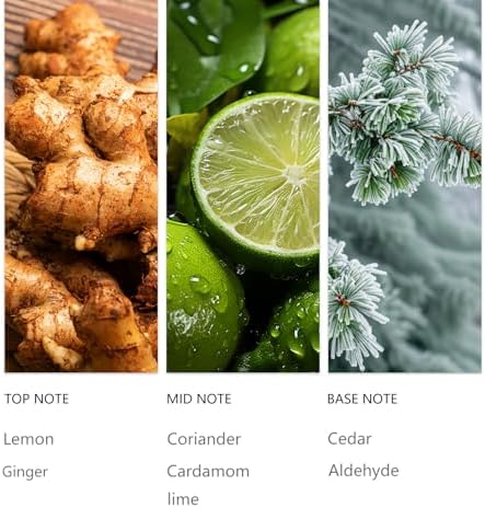 Lemon Waterless Essential Oil 20ML Sampler