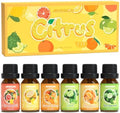ARVIDSSON Citrus Essential Oils Set, Natural Fruit Essential Oil for Diffuser, Candle Making - Grapefruit, Bergamot, Sweet Orange, Lemon, Lime, Tangerine, Citrusy Scented Oils for Home