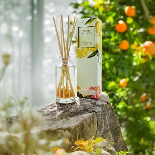 Urban Naturals Reed Diffuser Set, Citrus Bliss - Bathroom Shelf Décor