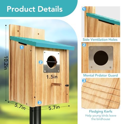 2 Pack Bird Houses for Outside, Cedar Outdoor Garden Bluebird House