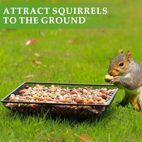 MIXXIDEA Ground Bird Feeder Tray 11x11 Inches, Metal Platform Mesh Seed Tray for Bird Feeders, Great Attracting Garden Yard Decoration for Wild Birds Squirrels Dove,2 Pack