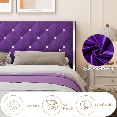 HOMBCK King Bed Frame with Velvet Headboard, Silverside Wingback, Purple