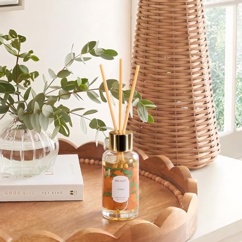 Airkeep Reed Diffuser Set, 3 Pack Fresh Linen Ocean Mist Citrus Fragrance Oils for Home, Long Lasting Aroma with Reed Sticks for Bedroom, Bathroom, Living Room & Office
