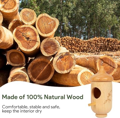Hummingbird House, Small Hummingbird Houses for Outside