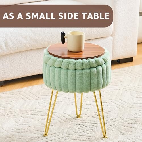 Wimarsbon Vanity Stool with Storage, Faux Fur Ottoman Chair with Metal Legs