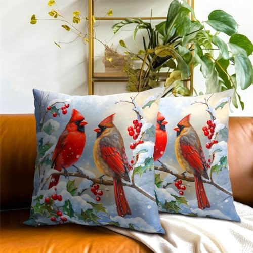 Winter Red Bird Throw Pillow Cover Set of 2 16x16 Inch Winter Christmas Pillowcase Nature Birds Scene Cushion Covers Farmhouse Pillow Protector for Home Bedroom Sofa