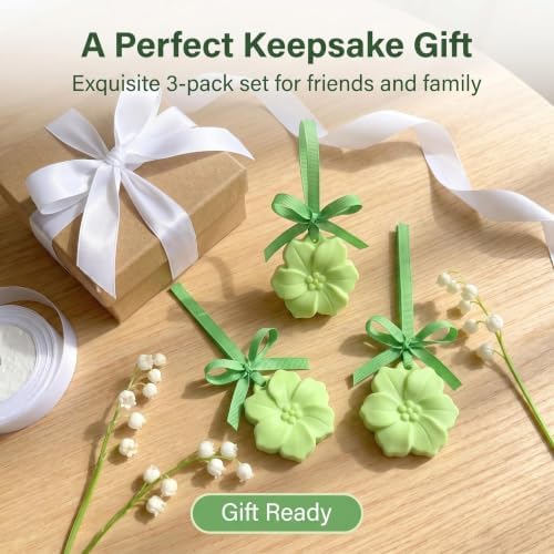 Plaster Aroma Tester 3 Pack, Green Camellia, Unscented.