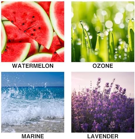 Oasis Drift Scent Luxury Reed Diffuser – Home Fragrance Diffuser with Lavender, Marine, and Watermelon – Long-Lasting Scent for Bathroom, Bedroom, or Living Room – 150ml
