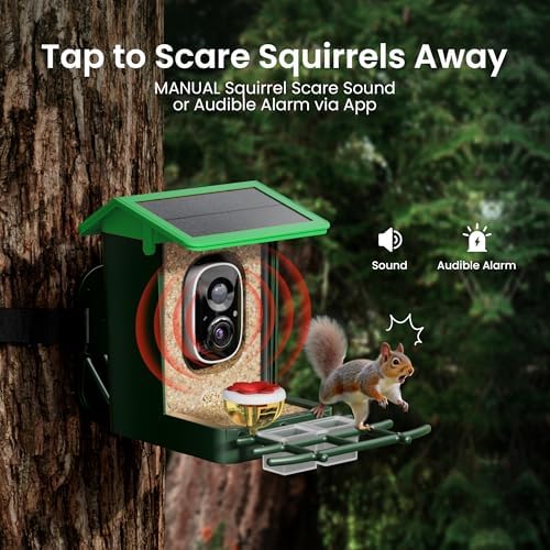 Bird Feeder with Camera Solar Powered 2K HD Video, 10,000+ Species AI Recognition, Real-Time Alerts, and Weatherproof Design for Effortless Birdwatching, Gift for Bird Lovers, Grass Green