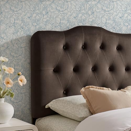 Modway Annabel Performance Velvet Adjustable Twin Headboard in Chocolate Brown - Stain-Resistant Padded Headboard Only with Diamond Button Tufting and 7 Height-Adjustable Positions