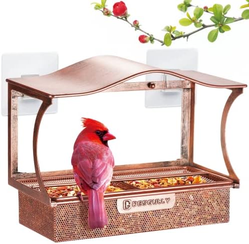 Window Bird Feeder with Strong Suction Cups, Metal Outdoor Gift - Curved