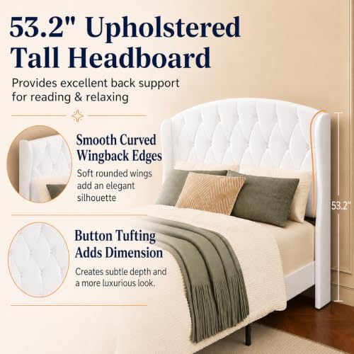 Queen Size Upholstered Bed Frame with 53" Velvet Headboard