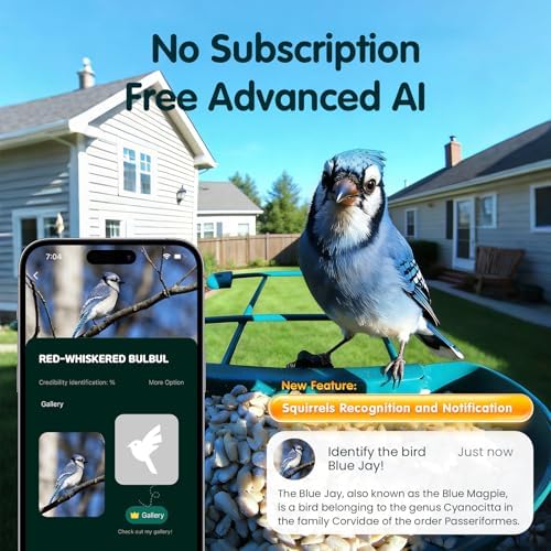 4K Smart Bird Feeder with Camera,No Subscription,Solar Powered
