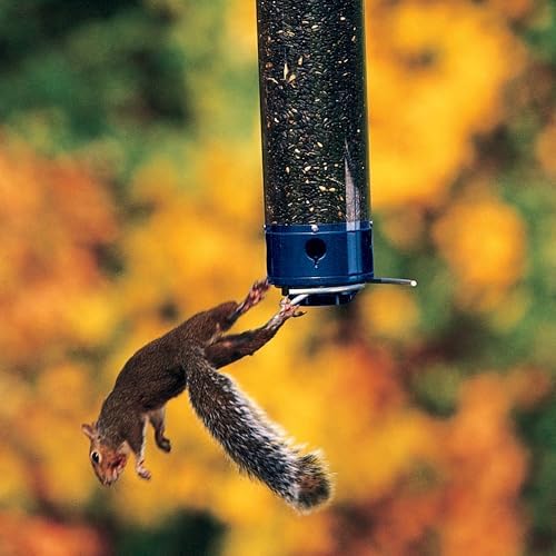 Droll Yankees Whipper Squirrel-Proof Bird Feeder for Outdoors