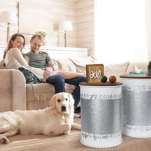 RUSTOWN Farmhouse Accent Side Table, Set of 2 Galvanized Storage Ottoman