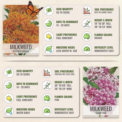 Seed Needs Milkweed Seeds Variety Pack of 5 Perennial Flowers for Monarchs