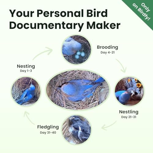 Birdfy Bird House with Camera & Metal Cladding, Lifetime Free AI Bird ID